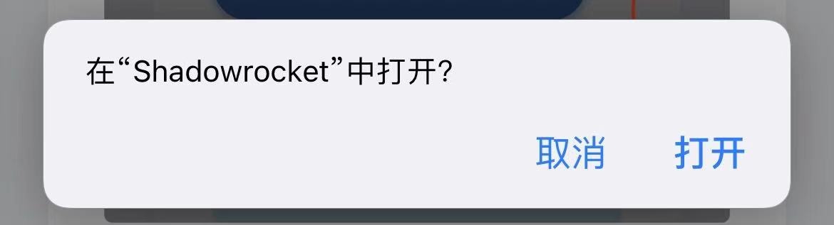 图片[3]-「iPhone/iPad」科学上网使用教程-IS
